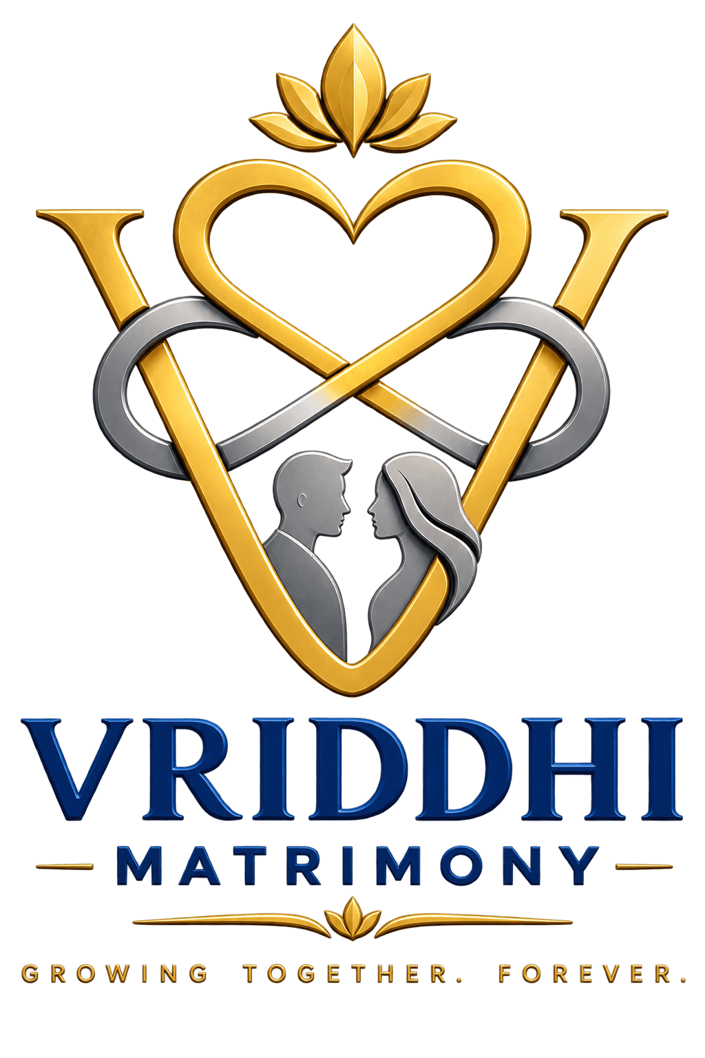 VRIDDHI ADMIN